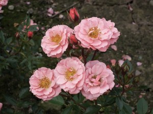 JUNE TIME (miniature)